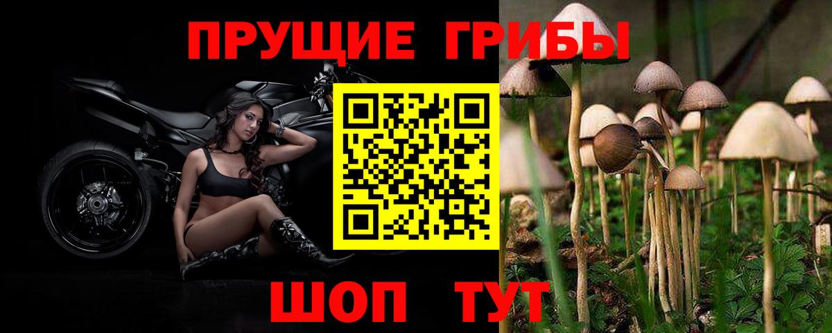 Галлюциногенные грибы мицелий  Псилоцибиновые грибы Psilocybe  цены наркотик  Лосино-Петровский  Вход с VPN 